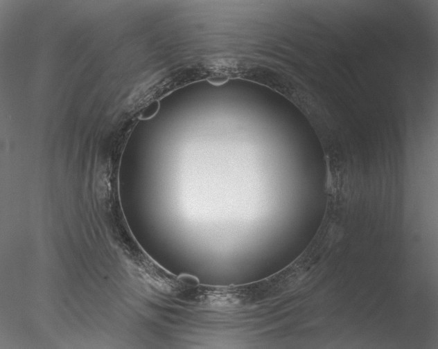 X0000078010702200611031430