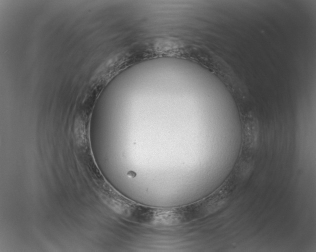 X0000078010705200611031430