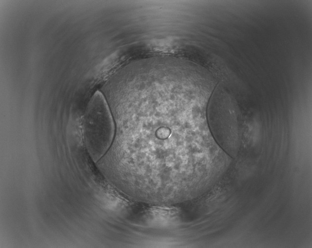 X0000078010707200611031430