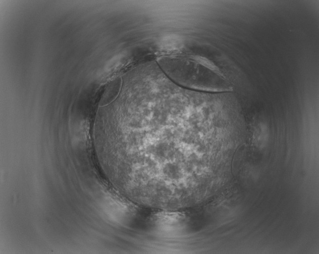 X0000078010711200611031430