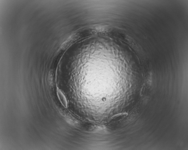 X0000078010715200611031430