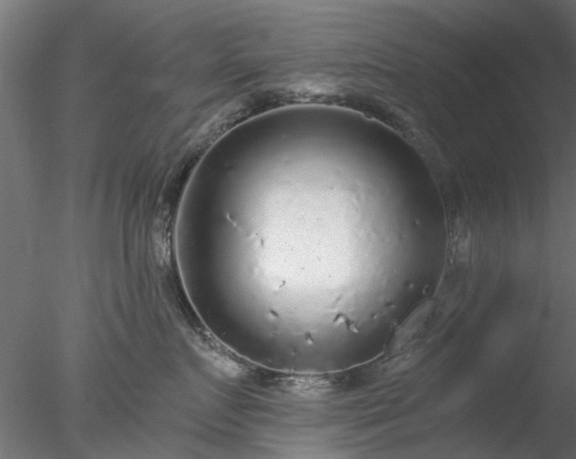 X0000078010719200611031430