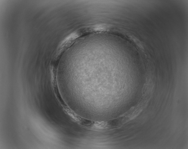 X0000078010720200611031430