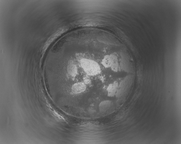 X0000078010721200611031429