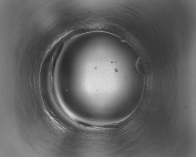 X0000078010722200611031429