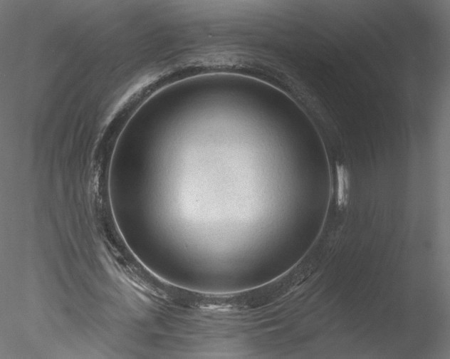 X0000078010723200611031429