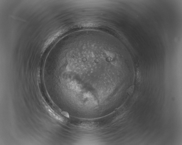 X0000078010725200611031429