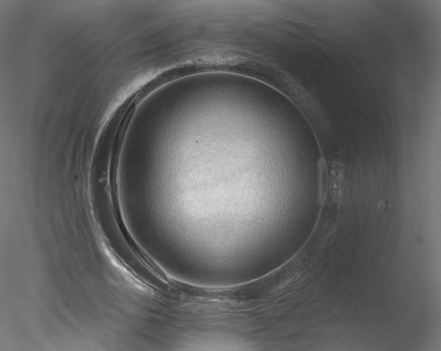 X0000078010726200611031429