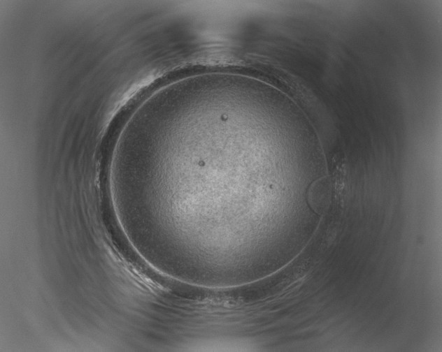 X0000078010727200611031429