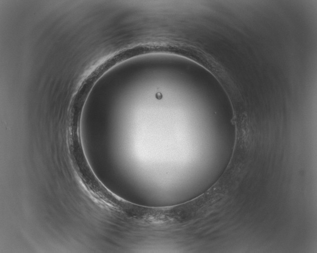 X0000078010728200611031429