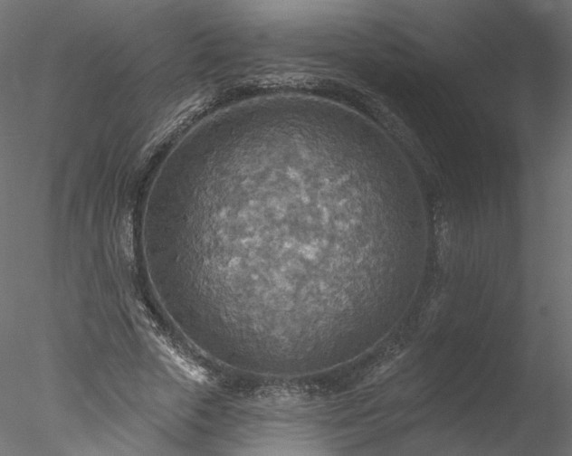 X0000078010729200611031429