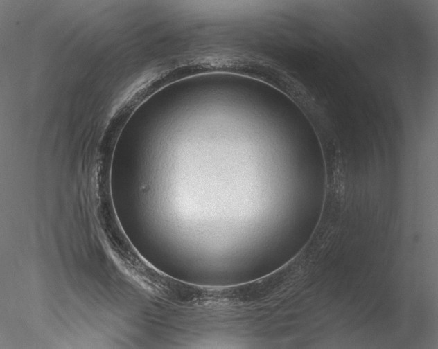 X0000078010730200611031429