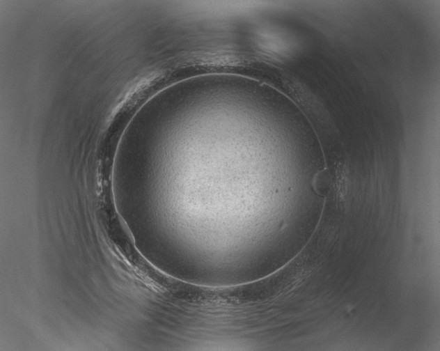 X0000078010731200611031429