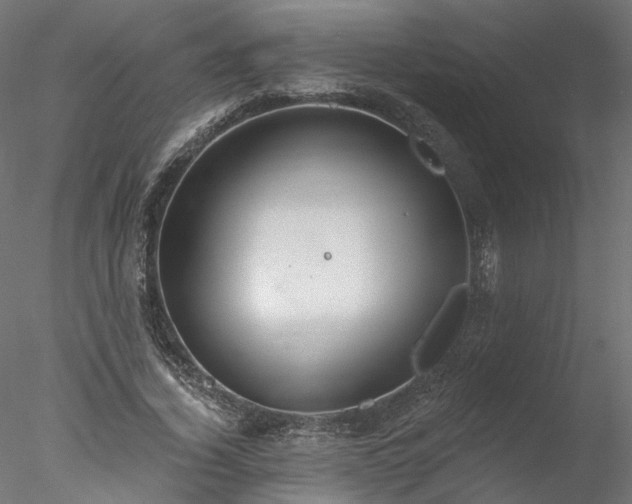 X0000078010732200611031429