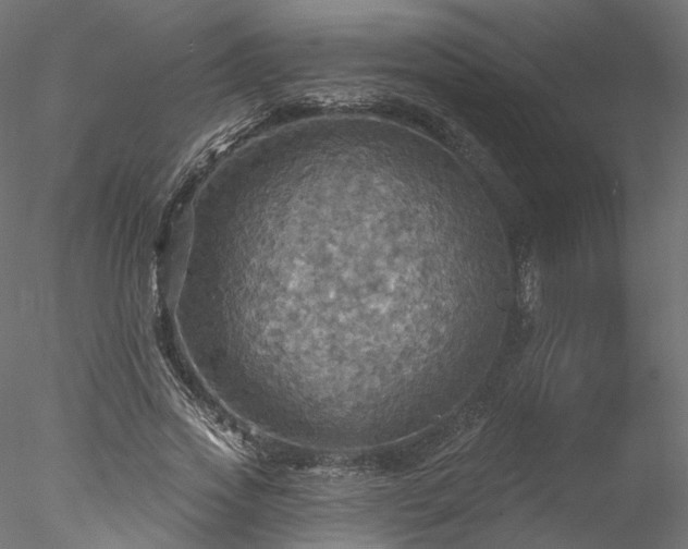 X0000078010733200611031429