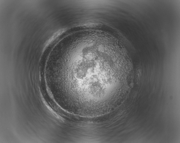 X0000078010734200611031429