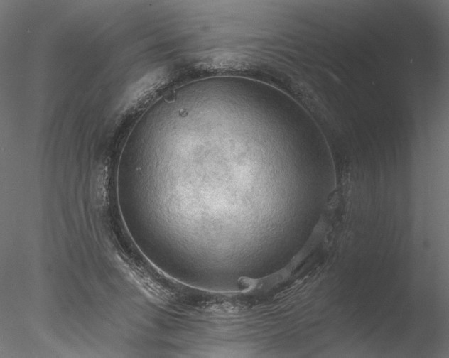 X0000078010735200611031429