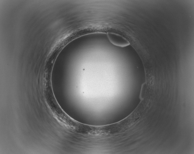 X0000078010736200611031429