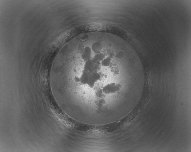 X0000078010737200611031429