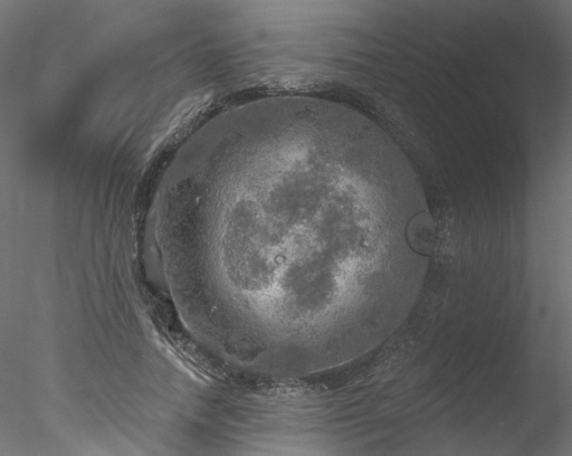 X0000078010738200611031429