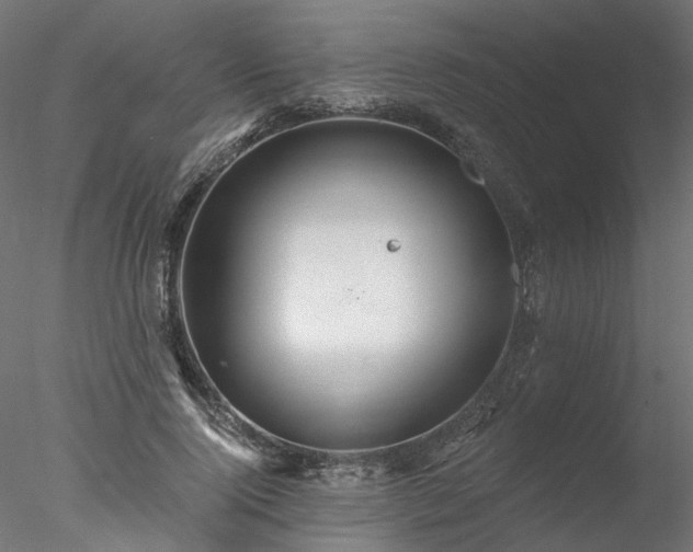 X0000078010740200611031430