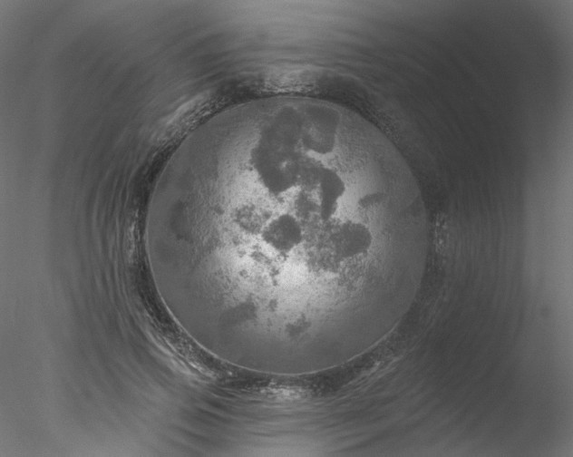 X0000078010741200611031430