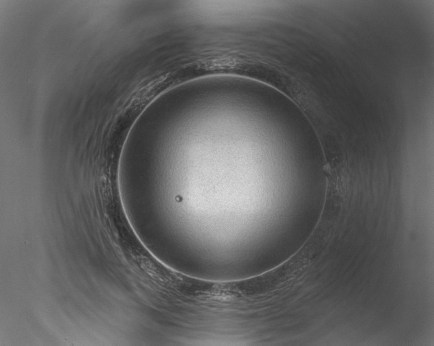 X0000078010743200611031430