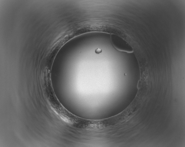 X0000078010744200611031430