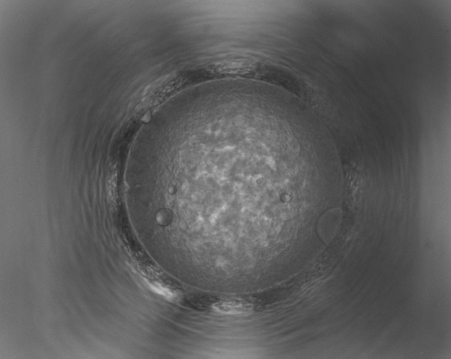 X0000078010745200611031430