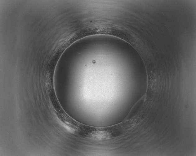 X0000078010748200611031430