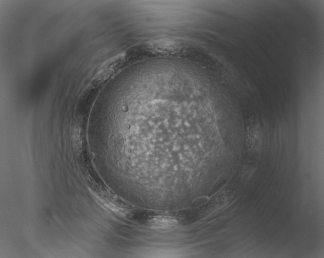 X0000078010749200611031430