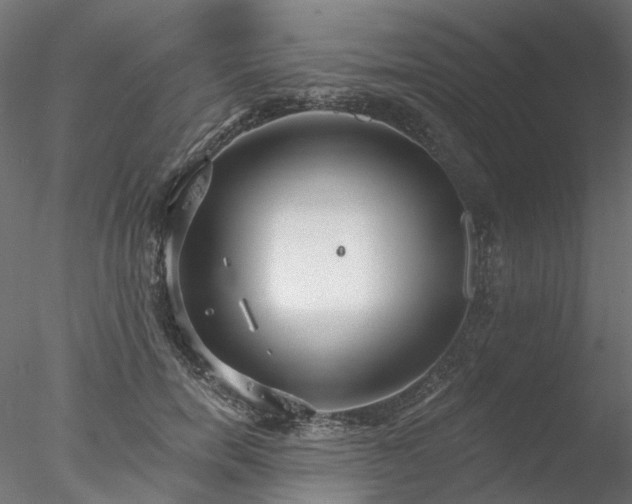 X0000078010750200611031430