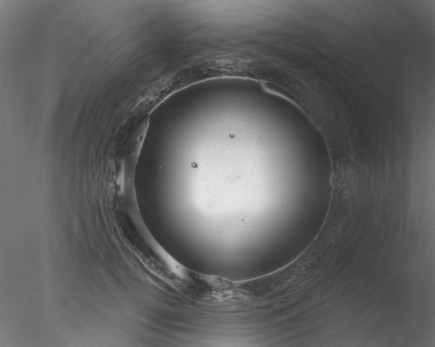 X0000078010752200611031430