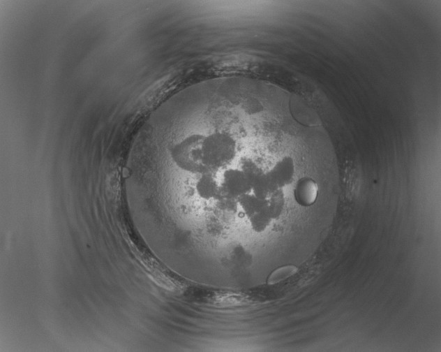 X0000078010753200611031430