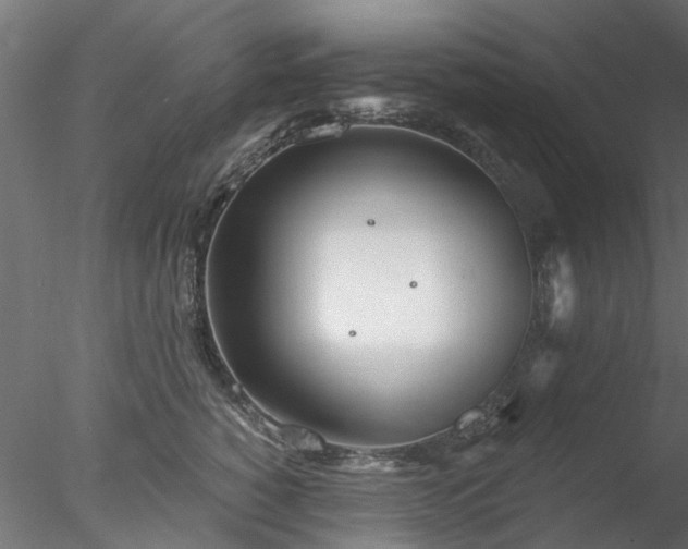 X0000078010760200611031430