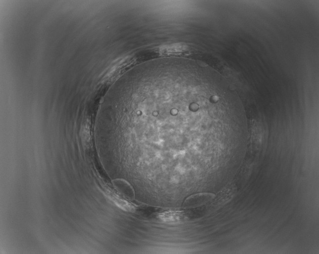 X0000078010761200611031430