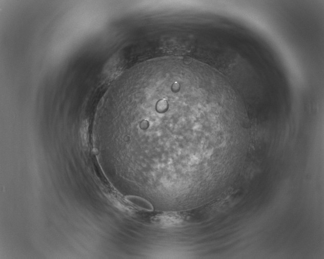 X0000078010765200611031430