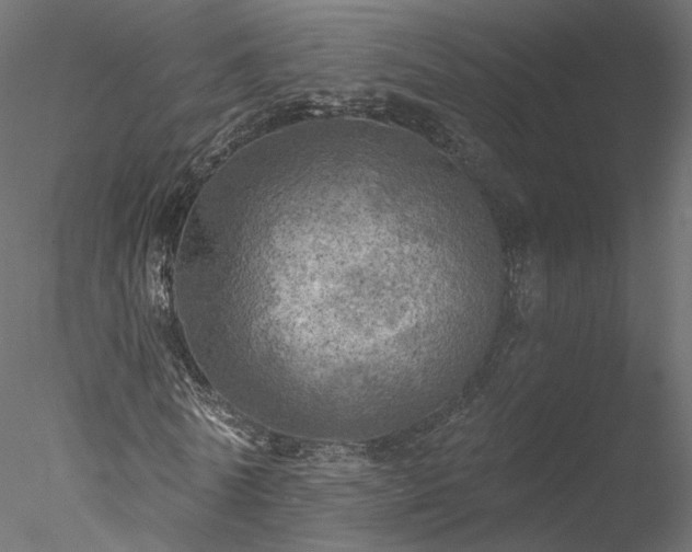 X0000078010770200611031429