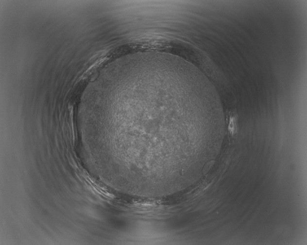 X0000078010771200611031429