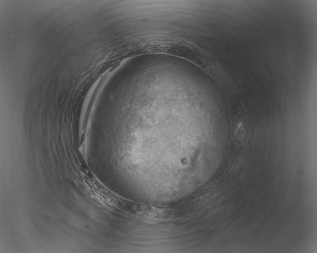 X0000078010772200611031429