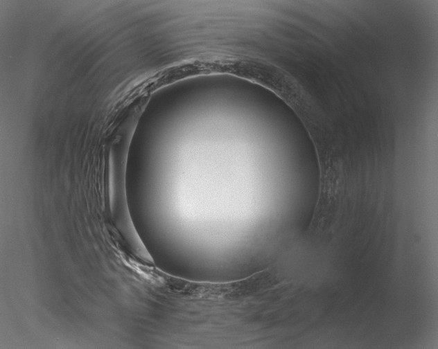 X0000078010773200611031429