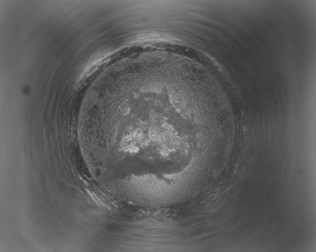 X0000078010775200611031429