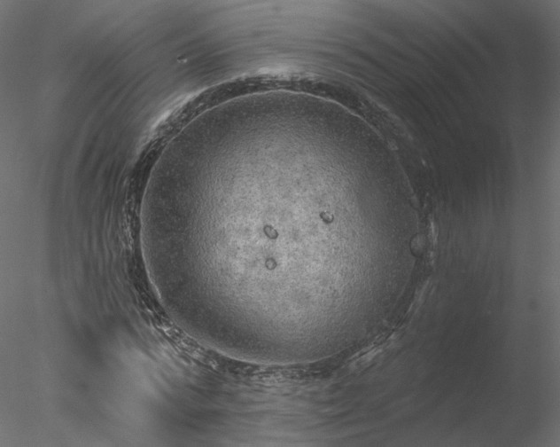 X0000078010776200611031429