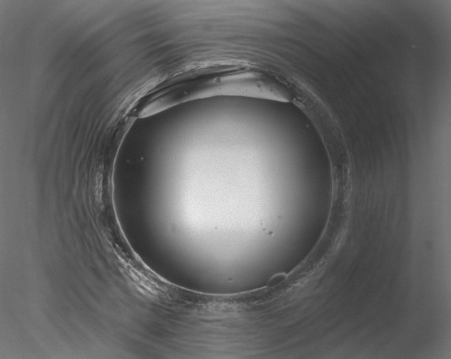 X0000078010777200611031429