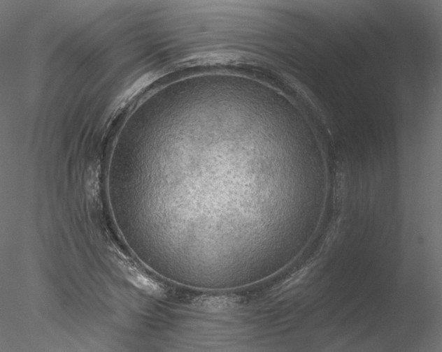 X0000078010778200611031429