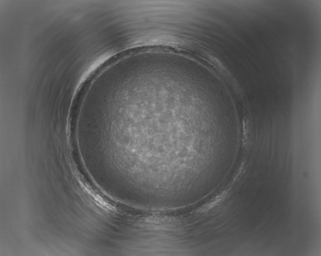 X0000078010780200611031429