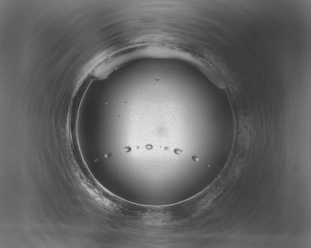 X0000078010788200611031429