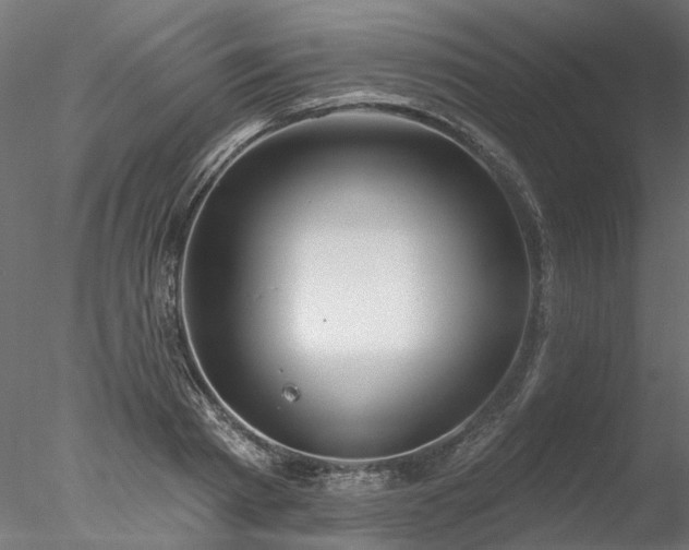 X0000078010793200611031429