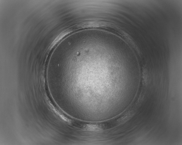 X0000078010794200611031429