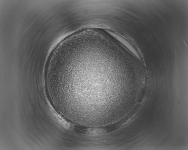 X0000078010795200611031429